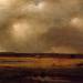 Storm over the Marshes